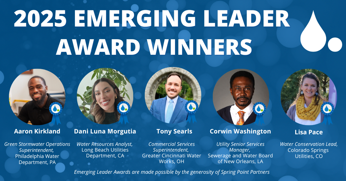 2025 EL Graphics (3) Graphic of the 2025 Emerging Leader Awardees