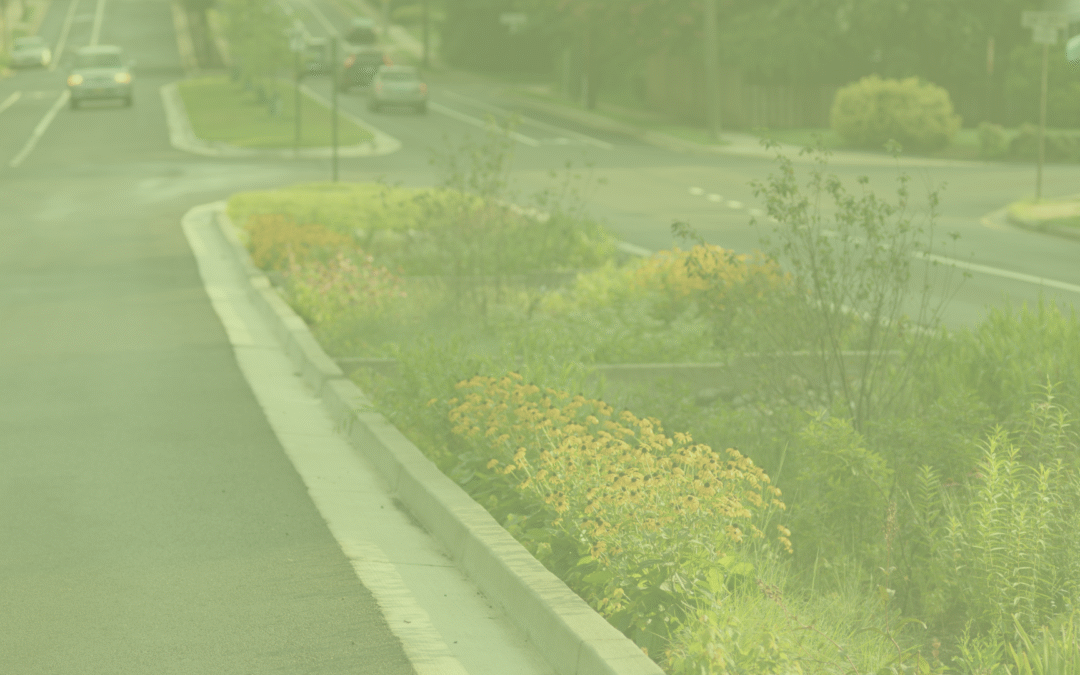 Green Infrastructure for Small Water Systems: Approaches and Technical Assistance