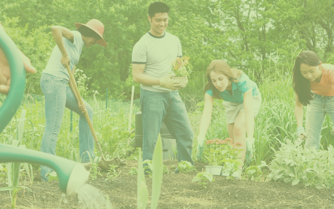 Growing Collaborations with Community Organizations: Outreach and Engagement