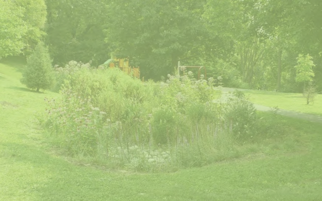 Green Infrastructure for Small Systems: Exploring Real World Examples