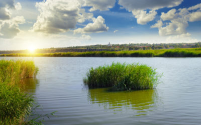 Senate Bill Introduced to Encourage Residential Water Conservation