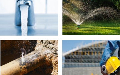 WEBINAR: What Does “Making Conservation a Way of Life” Mean for Local Decision Makers? (7/12)