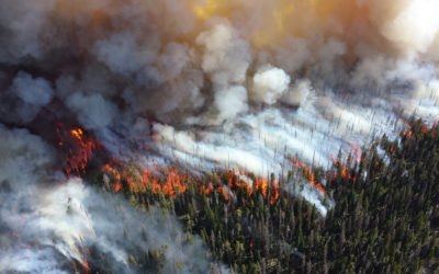 Extreme Wildfires and Smart Watershed Management
