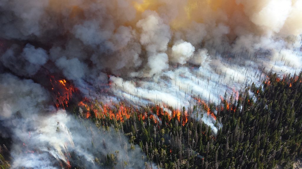Extreme Wildfires and Smart Watershed Management