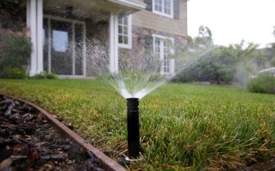 Resource Alert: California Efficiency Legislation Briefing Slides, In-Depth Guide, and Summary Database Now Available to WaterNow Members