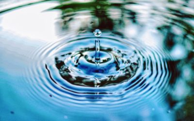 WaterNow’s New Program to Support WaterSMART Conservation and Efficiency Funding for Colorado Basin Communities