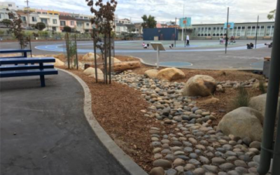SFPUC’s New Grant Program Incentivizes Local Property Owners to Manage Stormwater Onsite