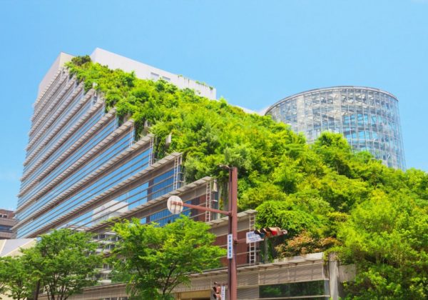 Green roof