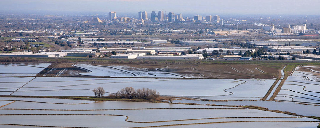California Members: Make Your Voice Heard on Governor Newsom’s Water Resilience Portfolio!