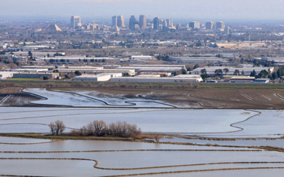 California Members: Make Your Voice Heard on Governor Newsom’s Water Resilience Portfolio!