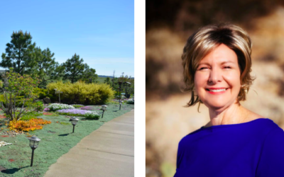 New Tools for Diverse Challenges