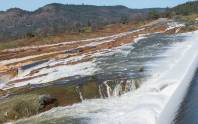 Group of 75 Stakeholders Submit Recommendations to Governor on CA Water Resilience Portfolio