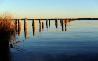 Pathways to a Sustainable Water Future