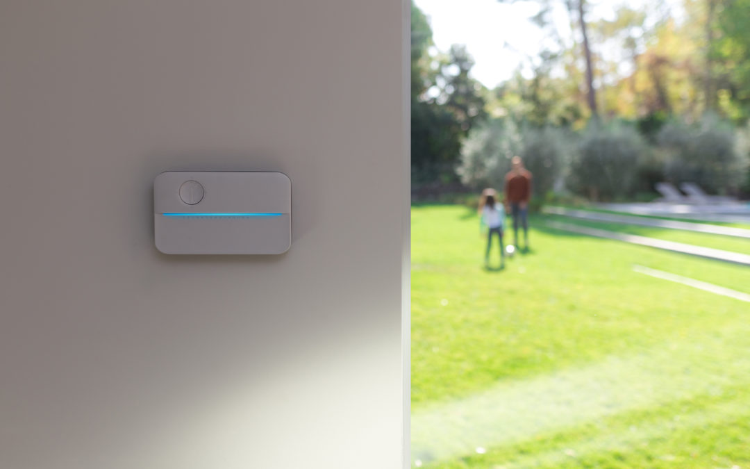 Rachio: Making Sustainable Water Use Effortless and Personally Rewarding