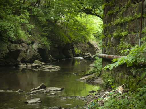 An image of Saw Mill Run, an urban stream, flowing along a rocky streambed through a vegetated area.
