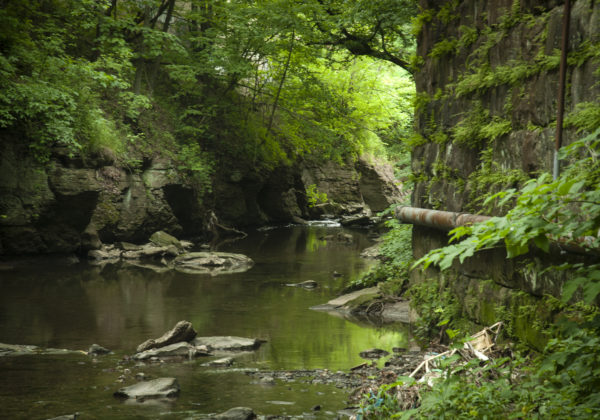 An image of Saw Mill Run, an urban stream, flowing along a rocky streambed through a vegetated area.