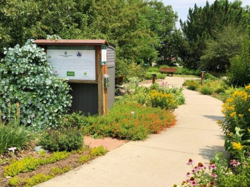 Photo of Broomfield's Xeriscape Demonstration Garden. A sidewalk cuts through flowers and native landscape, with an informational sign about the garden.