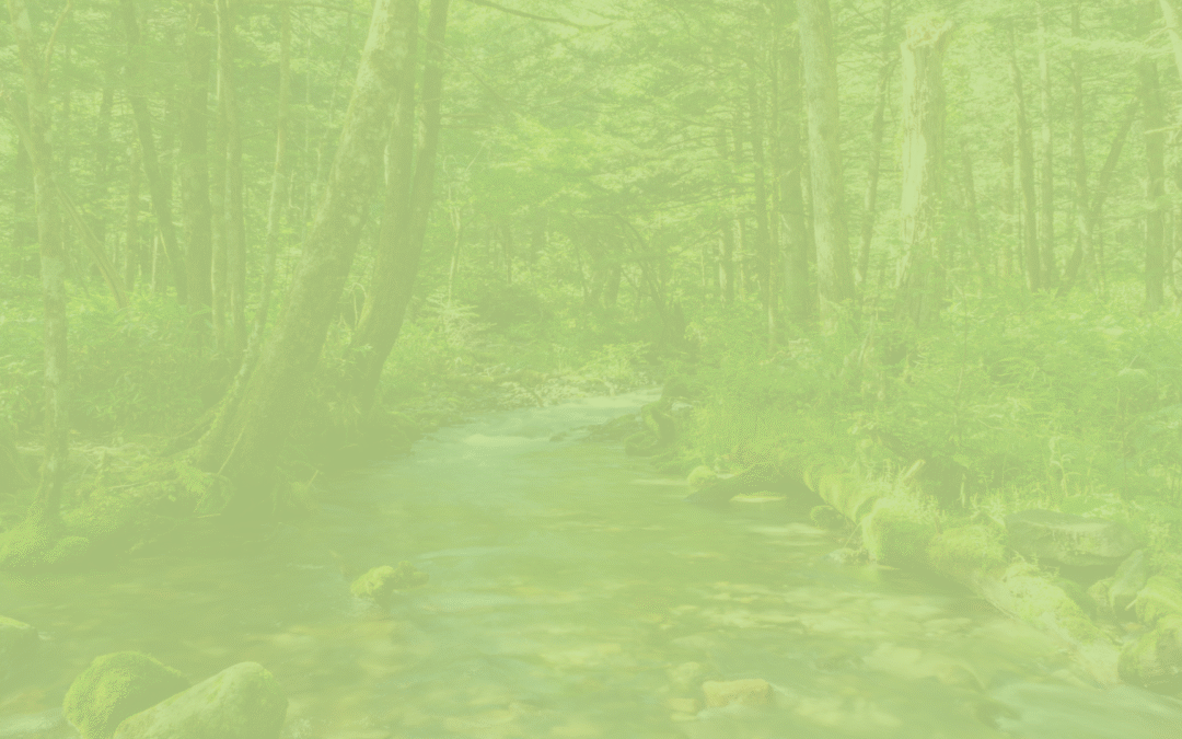 Financing Sustainable Water Infrastructure with the State Revolving Fund: 2-Part Virtual Training Series