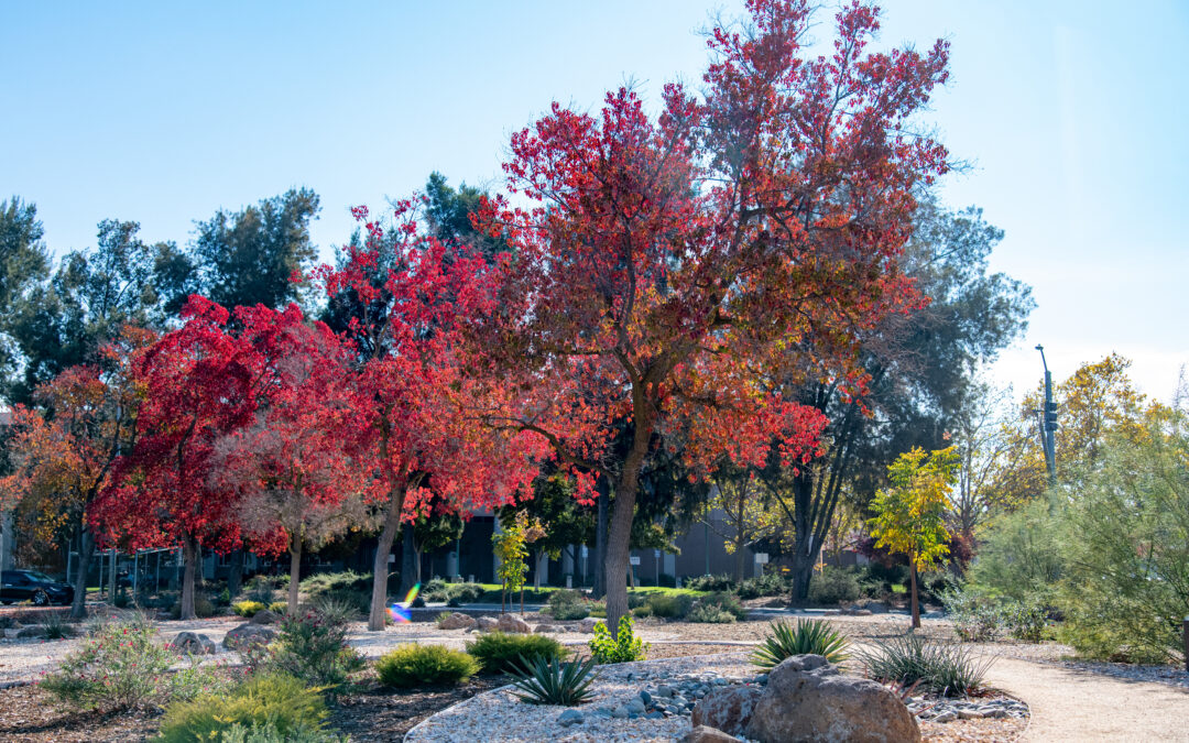 Apply Today: Catalyze Water Efficiency Investments