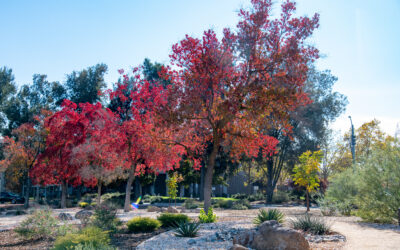 Apply Today: Catalyze Water Efficiency Investments