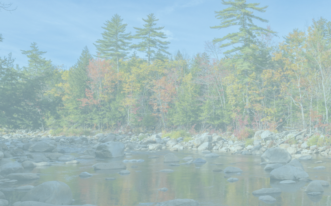 How To Deploy Green Stormwater Infrastructure in New Hampshire