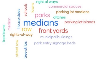 NFT Definition Word Cloud