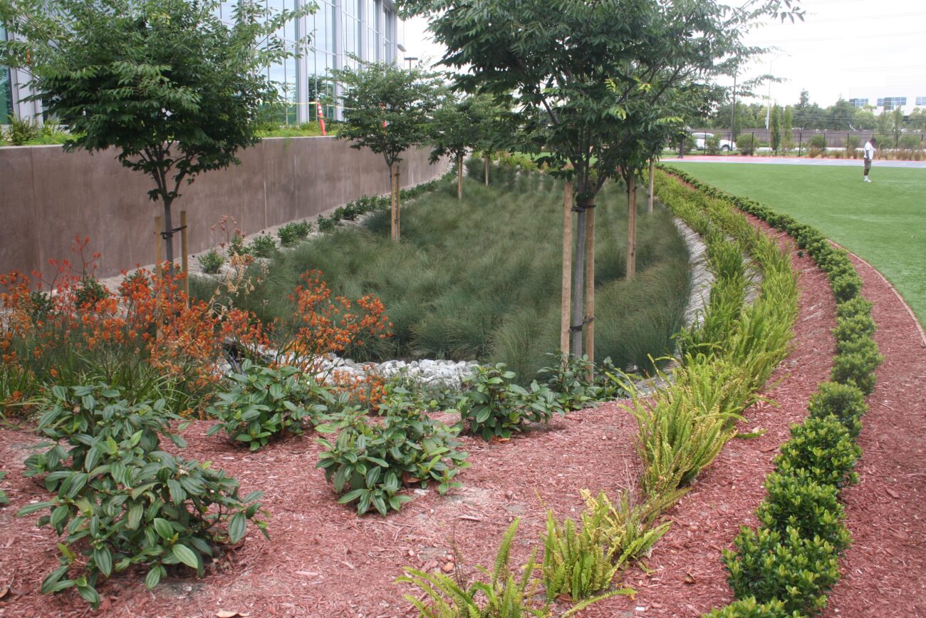 MWRD: O&M Plan for Bioswales and Rain Gardens - WaterNow