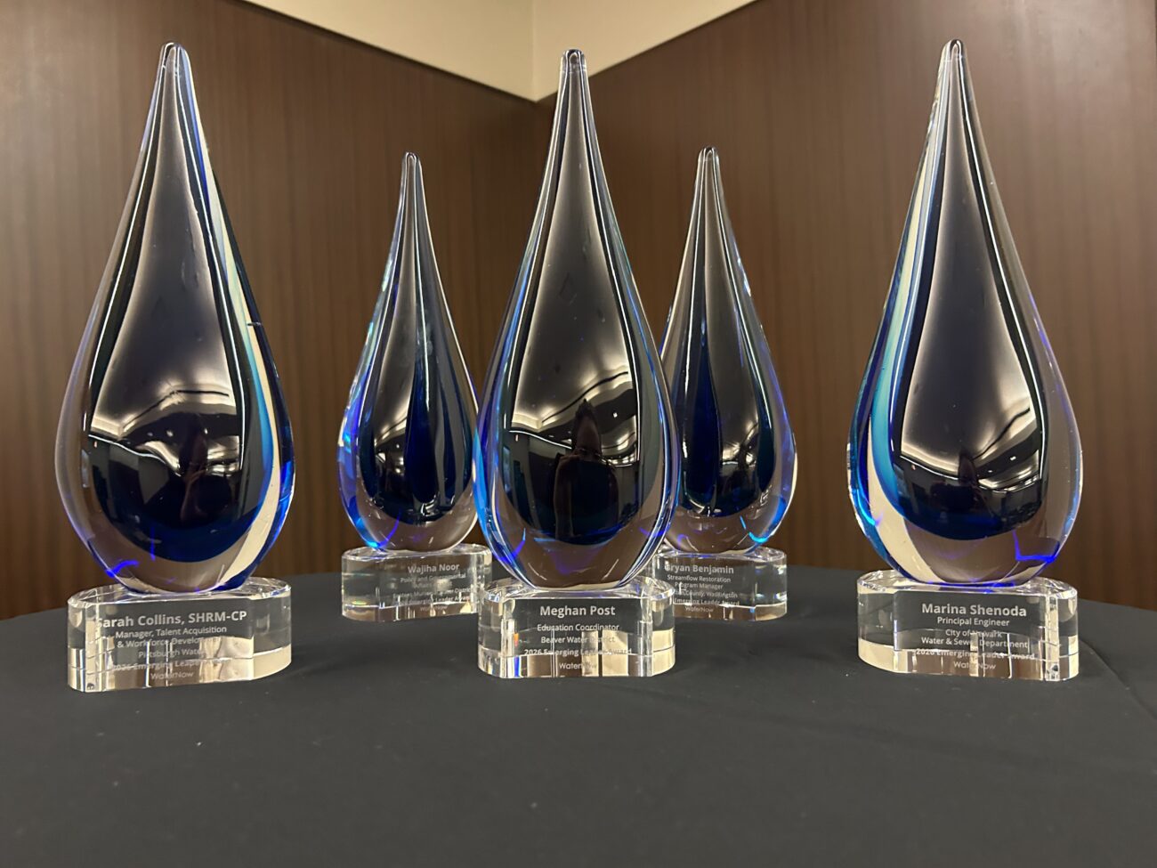 Row of blue-tinted glass teardrop awards on a black table with engraved plaques visible at the base, reflecting light in a trophy display.