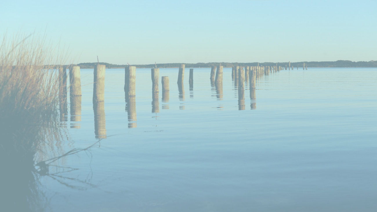 Row of weathered wooden posts protruding from calm water; marsh grass on the left and a pale blue sky above.