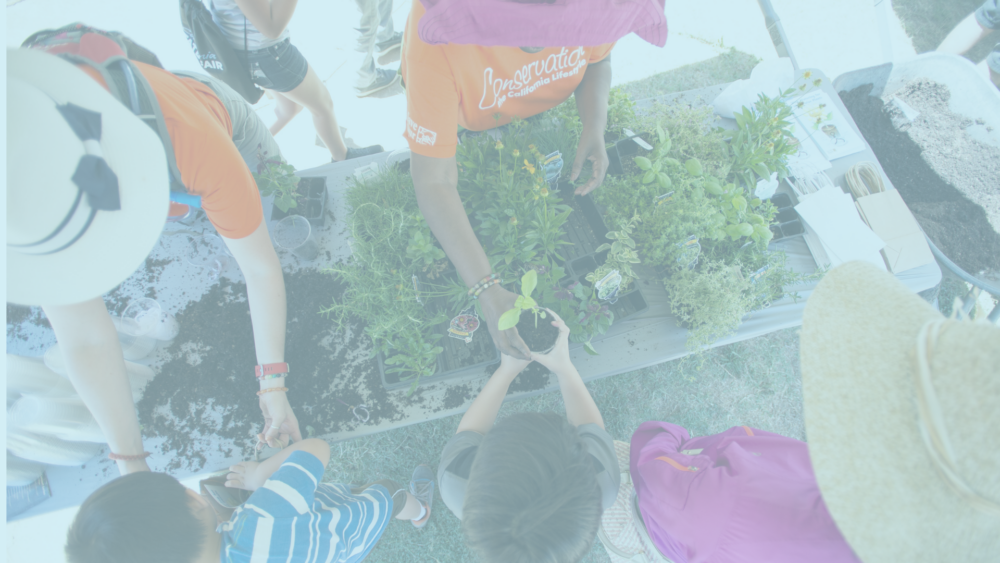 People gathered around a table planting seedling pots outdoors; hands reach into soil among plants and small pots.