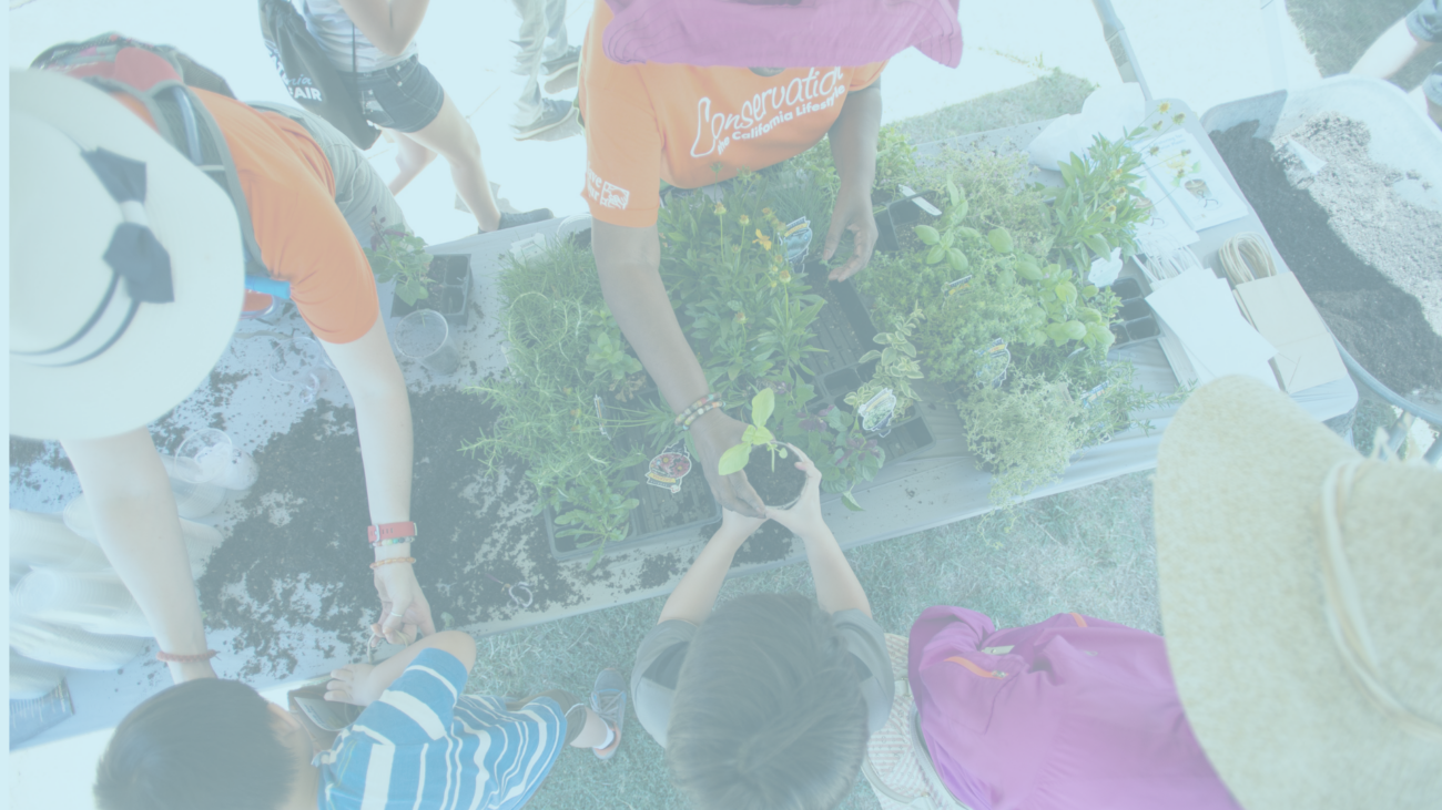 People gathered around a table planting seedling pots outdoors; hands reach into soil among plants and small pots.