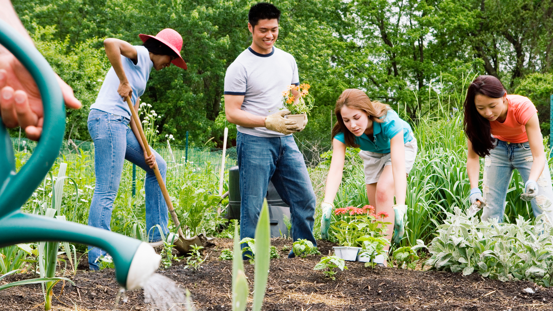 Group of friends gardening together, planting flowers and vegetables in a lush, sunny yard.